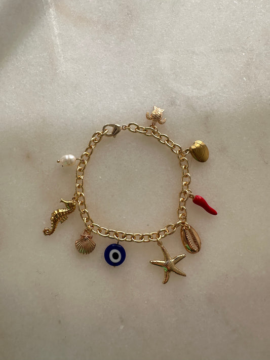 Charm Bracelet- Mixed